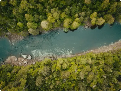 Smart Forestry & Water Management