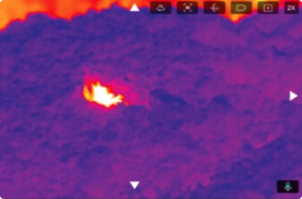 Infrared view of forest with fire activity detected