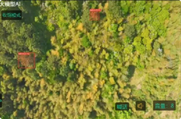 Diseased or dead trees can be easily identified from aerial inspection with drones’ visual detection capabilities.