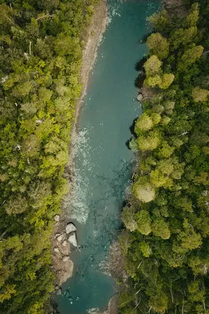 Smart Forestry & Water Management